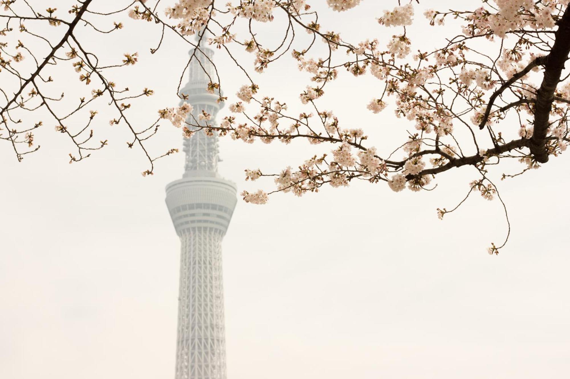 ノーガホテル上野東京 ホテル